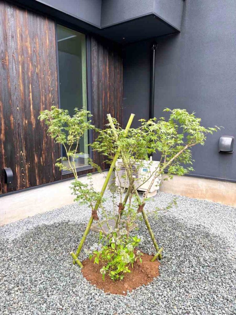 静岡・熱海の絶景を楽しむ高台の住まいの外構
植栽